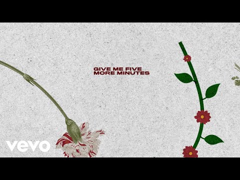 Jonas Brothers - Five More Minutes (Lyric Video)