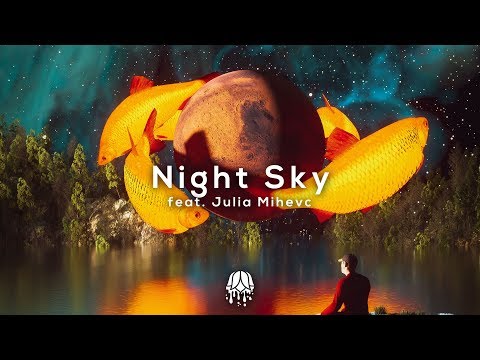 Leonell Cassio - Night Sky (ft. Julia Mihevc) [Royalty Free/Free To Use]