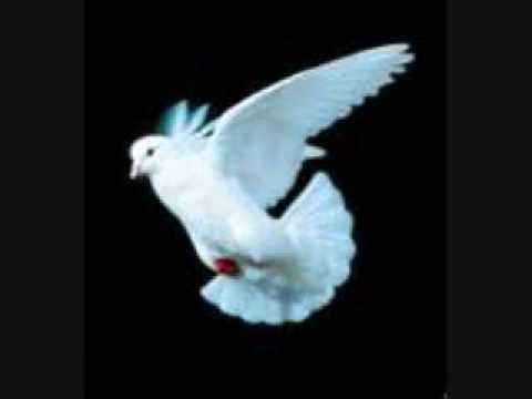 The Bells - Fly Little White Dove