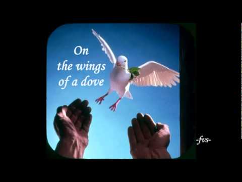 ON THE WINGS OF A DOVE