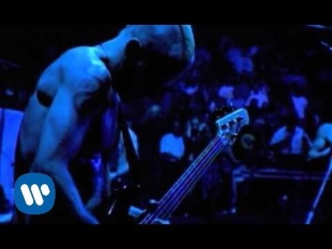 Red Hot Chili Peppers - Coffee Shop [Official Music Video]
