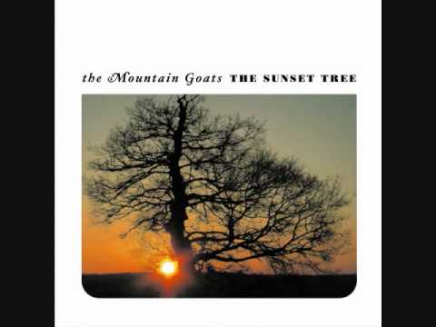 The Mountain Goats - This Year