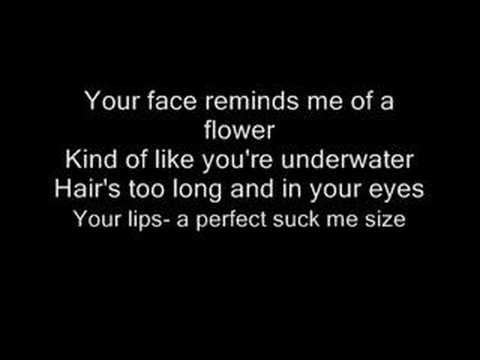 Liz Phair - Flower (with lyrics)