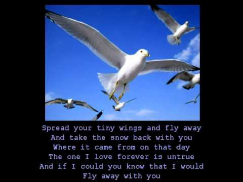 Anne Murray - Snowbird (with lyrics)