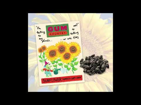 Gum Country - &#039;Talking To My Plants&#039;