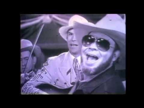 Hank Williams Jr - Tear In My Beer (Official Music Video)